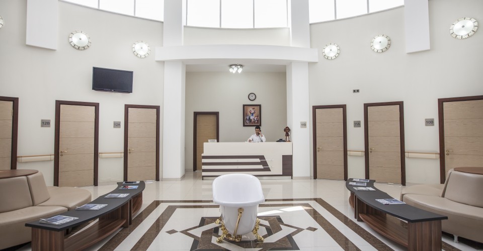 Naftalan Hotel Gashalti